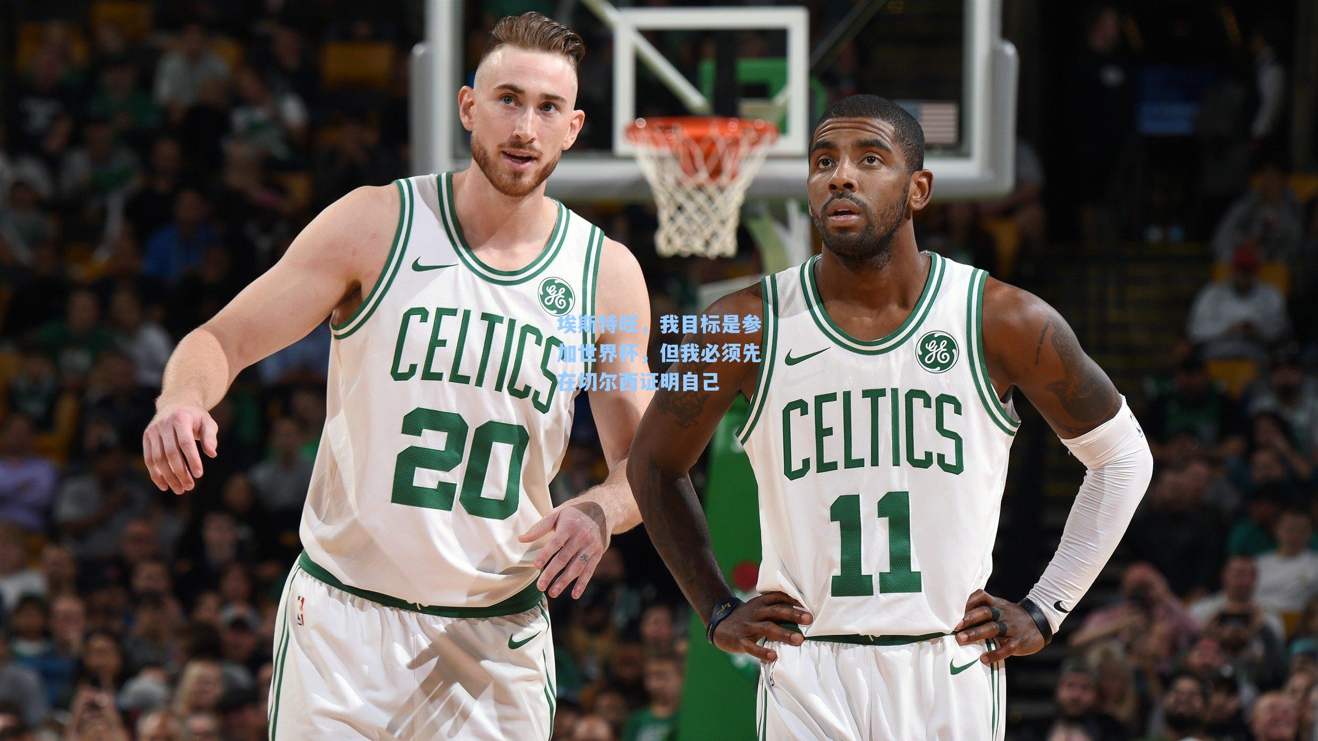 埃斯特旺，我目标是参加世界杯，但我必须先在切尔西证明自己